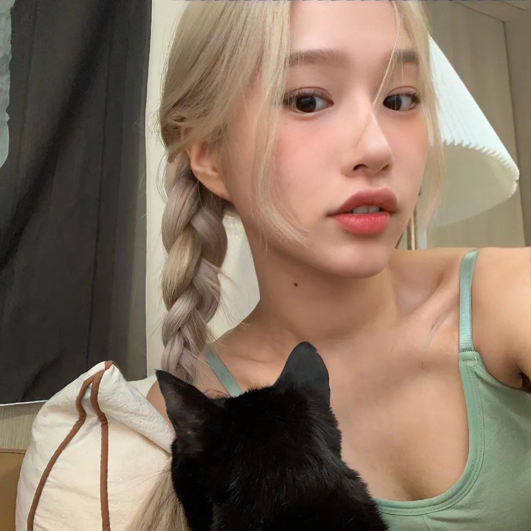 狗狗的旅程